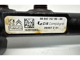 Топливная рампа 9804776780, 9676643880   Citroen C4 II Picasso  