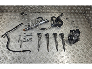 Комплект системы впрыска топлива 03L130755AC, 03L130277J Audi Q5 SQ5 CGLC