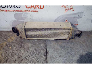 Интеркулер     Ford Transit -  Tourneo Connect 