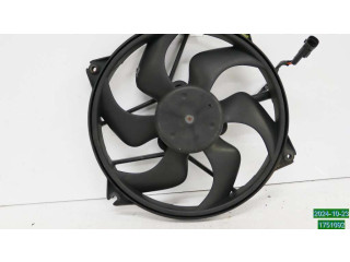 Вентилятор радиатора     1253K2, 071381700    Citroen C4 I 