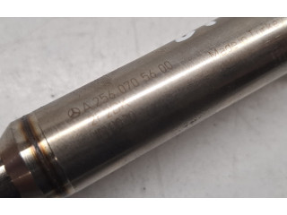 Vstřikovač A2560700187, A2560705600 Mercedes-Benz GLE W167 256930