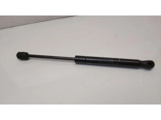 Amortizatorius su spyruokle