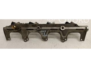 Топливная рампа Audi A3 S3 8P