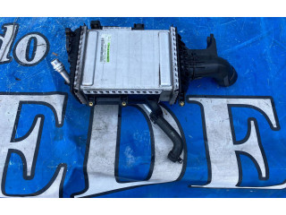 Интеркулер A6560901800, 1C0007 Mercedes-Benz CLS W257