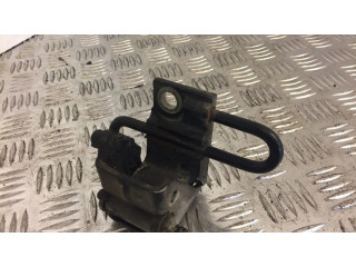 Передняя нижняя петля