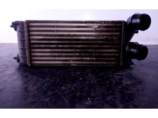 Интеркулер 9684212480 Citroen DS4