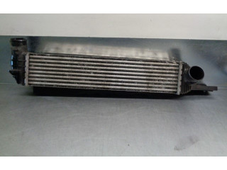 Интеркулер 2371034101 SsangYong Korando