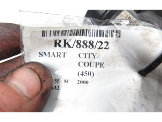 Топливная рампа 2435170146 Smart ForTwo I для двигателя M 160 E6AL B03