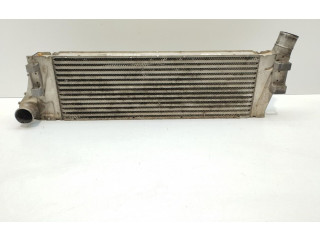 Форсунка 8200115540 Renault Scenic II - Grand scenic II