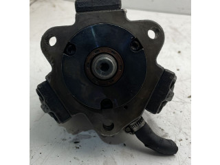 Vstřikovací čerpadlo 0445010011, 0445010011 Land Rover Freelander