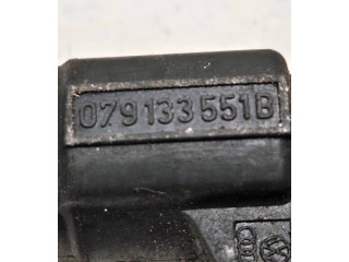 Vstřikovač 079133551B, 0280156180 Audi A8 S8 D3 4E