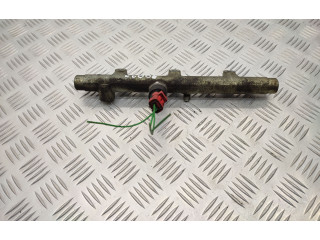 Топливная рампа 0445214019, 0281002283 Peugeot Partner для двигателя rhy