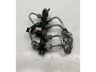 Vstřikovací lišta 0196515, 810PP1301 Renault Megane IV K9K