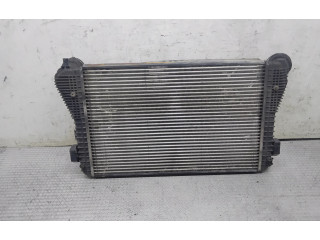 Интеркулер     Skoda Octavia Mk2 (1Z) 