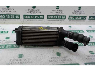 Интеркулер     Peugeot Partner 