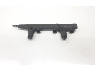 Vstřikovací lišta 9676020480, 9676020480 Citroen C3 HM01