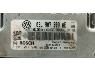 Řídící jednotka 03L907309AE, 0281017946 Volkswagen Tiguan 2012