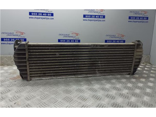 Интеркулер 621970, 621970 SsangYong Actyon