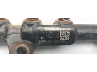 Топливная рампа 0445214318 Citroen C4 II Picasso для двигателя BHZ (DV6FC)