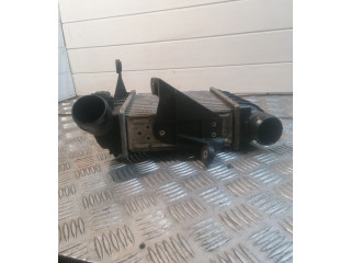 Интеркулер 6Q0145804A Skoda Fabia Mk2 (5J)