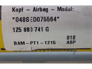 Подушка безопасности двери 1Z5880741G Skoda Octavia Mk2 (1Z)