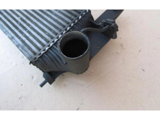 Интеркулер Nissan Pathfinder R51