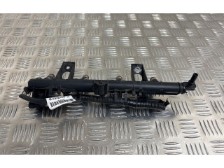 Vstřikovací lišta 8200379181, C4049181   Renault Clio IV     