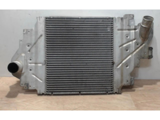 Интеркулер 8200685747, 8200685747 Renault Clio II