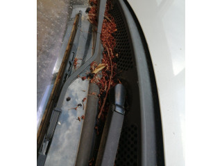 Поршень Двигатель стеклоочистителей DV4TD 00006401F4  Citroen C3  