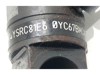 Vstřikovač 166000897R Renault Clio III