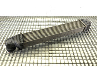 Интеркулер  A2115003902   Mercedes-Benz CLS AMG C219 