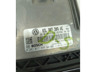 Řídící jednotka 03L907309AE, 0281017946 Volkswagen Tiguan 2012