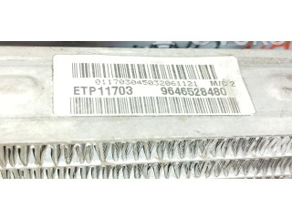 Топливная рампа 9646528480   Citroen C4 I Picasso  