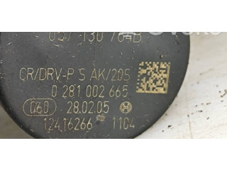 Топливная рампа 057130764B, 12416266   Audi A6 S6 C6 4F   для двигателя BMK