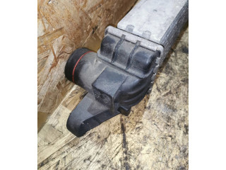 Интеркулер 52414109, 104112 Opel Meriva A