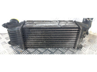 Интеркулер  00000384G9   Citroen C5 
