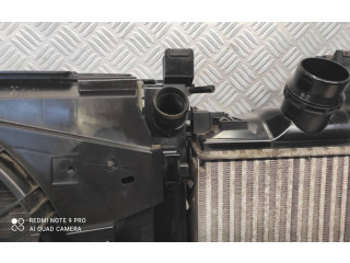 Интеркулер 144967634R, 14461B681D Dacia Sandero