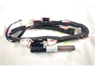 Боковая подушка безопасности 51915474   Fiat Punto (199)