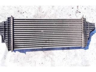 Интеркулер Mercedes-Benz R W251