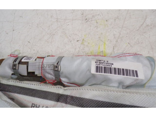 Подушка безопасности двери 6V0880742E, JG6T002854 Skoda Fabia Mk3 (NJ)