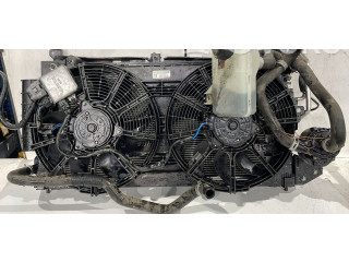 Zpětné zrcátko Nissan Leaf I (ZE0) 2017