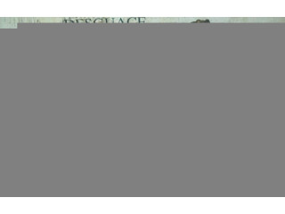 Интеркулер     Smart ForTwo I 