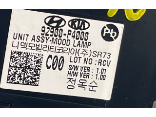 Блок управления 92900P4000, 92900P4000   KIA Sorento