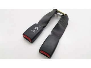 Задняя поясная пряжка