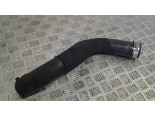 Трубка (трубки)/ шланг (шланги) охлаждения