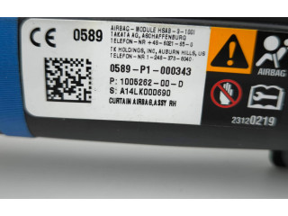 Боковая подушка безопасности 0589P1000343, 23120219   Tesla Model S