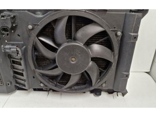 Комплект вентиляторов Citroen Berlingo