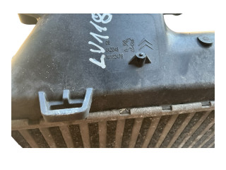 Интеркулер P9675627980 Citroen C4 II