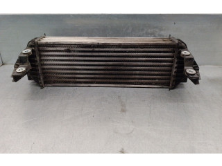 Интеркулер  7T169L440AE, H1808005   Ford Tourneo 