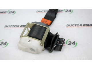 Задний ремень безопасности